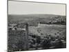 Jerusalem from the Mount of Olives, 1858-Mendel John Diness-Mounted Giclee Print