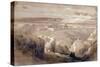 Jerusalem from the Road leading to Bethany-David Roberts-Stretched Canvas