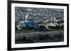 Jerusalem, Israel, View from the Mount of Olives, Dome of the Rock in the Center-null-Framed Giclee Print