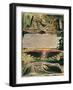 Jerusalem the Emanation of the Giant Albion-William Blake-Framed Giclee Print