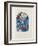 Jerusalem Windows : Ruben (Sketch)-Marc Chagall-Framed Collectable Print