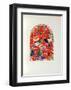 Jerusalem Windows : Zabulon (Sketch)-Marc Chagall-Framed Collectable Print