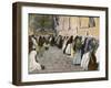 Jerusalem: Women at the Wailing Wall-null-Framed Photographic Print