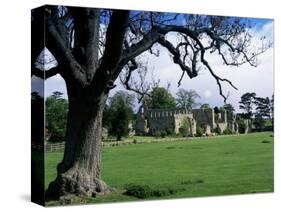 Jervaux Abbey Near Masham, North Yorkshire, Yorkshire, England, United Kingdom-Kathy Collins-Stretched Canvas