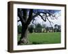 Jervaux Abbey Near Masham, North Yorkshire, Yorkshire, England, United Kingdom-Kathy Collins-Framed Photographic Print