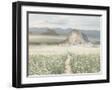 Chelsea Black