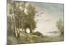 Wood Mount