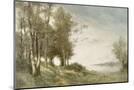 Wood Mount