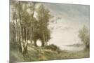 Wood Mount