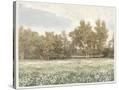 Stretched Canvas