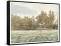 Canvas Black