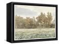 Canvas Black