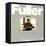 Jesse Fuller - Brother Lowdown-null-Framed Stretched Canvas