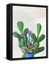 Framed Canvas