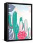 Framed Canvas