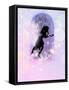 Framed Canvas