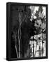 Essential Black