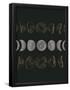 Essential Black