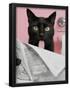 Essential Black