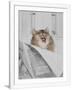 Gramercy White