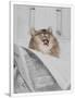 Gramercy White
