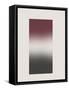 Framed Canvas