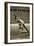 Jesse Owens at the Start of the 200m Race at the 1936 Berlin Olympics-null-Framed Giclee Print