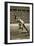 Jesse Owens at the Start of the 200m Race at the 1936 Berlin Olympics-null-Framed Premium Giclee Print