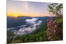 Wood Mount