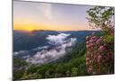 Wood Mount