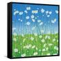 Jesses Daises-Herb Dickinson-Framed Stretched Canvas