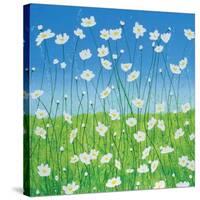 Jesses Daises-Herb Dickinson-Stretched Canvas