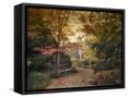 Framed Canvas
