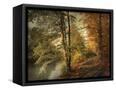 Canvas Black