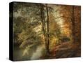 Stretched Canvas