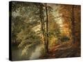 Stretched Canvas