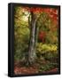 Essential Black