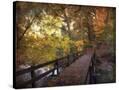 Stretched Canvas