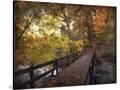 Stretched Canvas