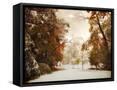 Canvas Black