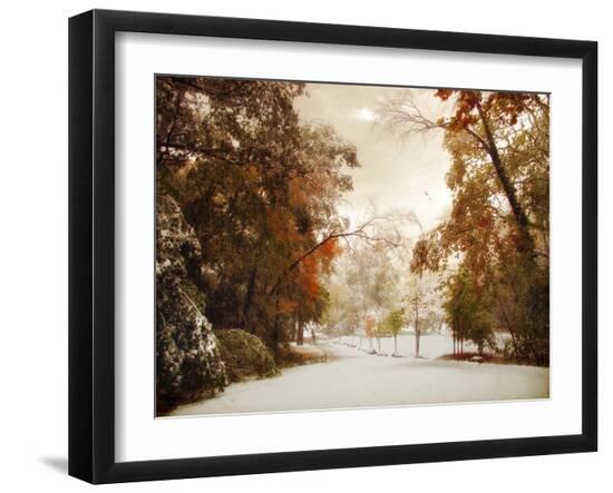 Premium Photographic Print, , large