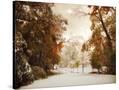 Stretched Canvas