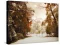 Stretched Canvas