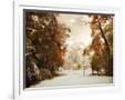 Gramercy White
