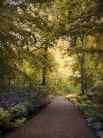 Golden Walkway-Jessica Jenney-Giclee Print