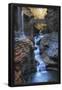 Essential Black
