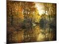 Wood Mount