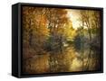 Framed Canvas