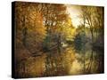 Stretched Canvas
