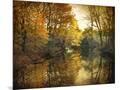 Wood Mount